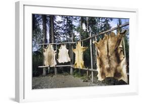 Hides Stretched over Wooden Racks for Tanning. Alaska (PR)-Angel Wynn-Framed Photographic Print