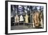 Hides Stretched over Wooden Racks for Tanning. Alaska (PR)-Angel Wynn-Framed Photographic Print