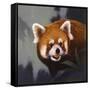 Hiding Out-Joh Naito-Framed Stretched Canvas