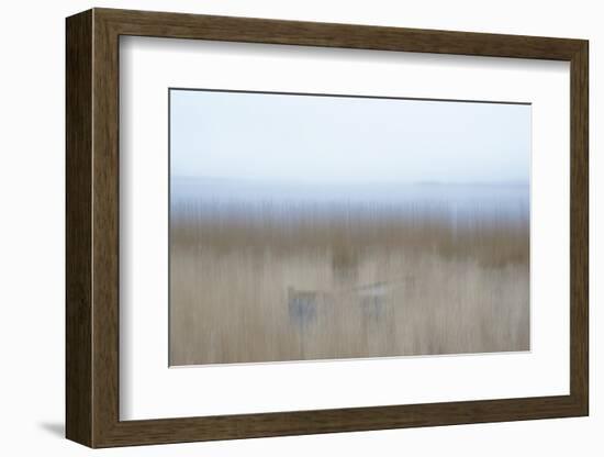 Hiding Place-Jacob Berghoef-Framed Photographic Print