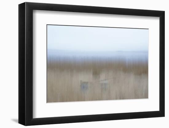 Hiding Place-Jacob Berghoef-Framed Photographic Print