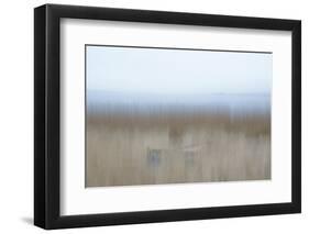 Hiding Place-Jacob Berghoef-Framed Photographic Print