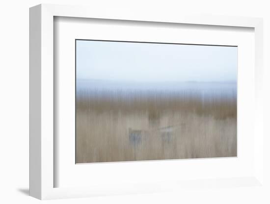 Hiding Place-Jacob Berghoef-Framed Photographic Print