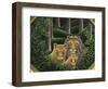 Hiding Place-Jerzy Marek-Framed Giclee Print