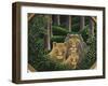 Hiding Place-Jerzy Marek-Framed Giclee Print