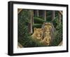 Hiding Place-Jerzy Marek-Framed Giclee Print