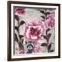 Hiding Racoon-Gigi Begin-Framed Giclee Print