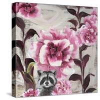 Hiding Racoon-Gigi Begin-Stretched Canvas