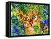 Hiding Tabby Cat-sylvia pimental-Framed Stretched Canvas