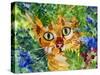 Hiding Tabby Cat-sylvia pimental-Stretched Canvas