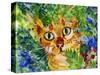 Hiding Tabby Cat-sylvia pimental-Stretched Canvas