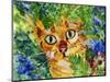 Hiding Tabby Cat-sylvia pimental-Mounted Art Print