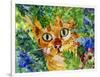 Hiding Tabby Cat-sylvia pimental-Framed Art Print