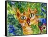 Hiding Tabby Cat-sylvia pimental-Framed Stretched Canvas