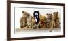 Hiding With Teddy Bears-Nancy Tillman-Framed Art Print