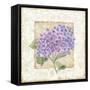 Hidrangea-Maria Trad-Framed Stretched Canvas