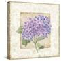 Hidrangea-Maria Trad-Stretched Canvas