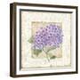 Hidrangea-Maria Trad-Framed Giclee Print