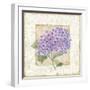 Hidrangea-Maria Trad-Framed Giclee Print