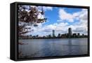 Framed Canvas