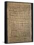 Hieratic Script on a Papyrus-null-Framed Stretched Canvas