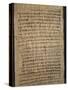 Hieratic Script on a Papyrus-null-Stretched Canvas