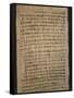 Hieratic Script on a Papyrus-null-Framed Stretched Canvas