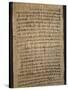 Hieratic Script on a Papyrus-null-Stretched Canvas