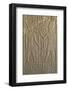 Hieroglyph Depicting Senusret I-null-Framed Photographic Print