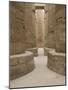 Hieroglyphic covered columns in hypostyle hall, Karnak Temple, East Bank, Luxor, Egypt-Cindy Miller Hopkins-Mounted Photographic Print