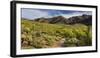 Hieroglyphic Trail, Lost Dutchman State Park, Arizona, Usa-Rainer Mirau-Framed Photographic Print