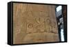 Hieroglyphics Carved on a Column at the Temple of Karnak, Egypt, C14th-13th Century Bc-null-Framed Stretched Canvas