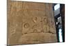 Hieroglyphics Carved on a Column at the Temple of Karnak, Egypt, C14th-13th Century Bc-null-Mounted Photographic Print