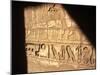 Hieroglyphics on Entrance to the Temple of Karnak-Mark Hannaford-Mounted Photographic Print