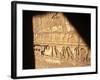 Hieroglyphics on Entrance to the Temple of Karnak-Mark Hannaford-Framed Photographic Print