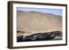 Hieroglyphs, Ballestos Islands, Peru, South America-Peter Groenendijk-Framed Photographic Print