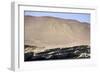 Hieroglyphs, Ballestos Islands, Peru, South America-Peter Groenendijk-Framed Photographic Print