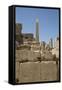 Hierogyliphics in Foreground, Obelisk of Tuthmosis in the Background, Karnak Temple-Richard Maschmeyer-Framed Stretched Canvas