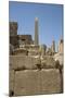 Hierogyliphics in Foreground, Obelisk of Tuthmosis in the Background, Karnak Temple-Richard Maschmeyer-Mounted Photographic Print