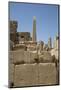 Hierogyliphics in Foreground, Obelisk of Tuthmosis in the Background, Karnak Temple-Richard Maschmeyer-Mounted Photographic Print