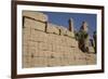 Hierogylphics on Wall Opposite Cachette Court-Richard Maschmeyer-Framed Photographic Print