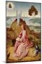 Hieronymus Bosch (St. John the Evangelist on Patmos) Art Poster Print-null-Mounted Poster