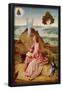 Hieronymus Bosch (St. John the Evangelist on Patmos) Art Poster Print-null-Framed Poster