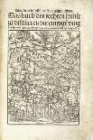 Apothecary's Shop, from 'Das Buch Der Cirugia' Published Strasbourg, 1497 (Woodcut)-Hieronymus Brunschwig-Giclee Print