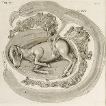 An Animal in the Womb, 1738-Hieronymus Fabricius ab Aquapendente-Framed Giclee Print