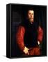 Hieronymus Sulczer, 1542-Christoph Amberger-Framed Stretched Canvas