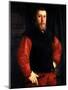 Hieronymus Sulczer, 1542-Christoph Amberger-Mounted Giclee Print