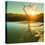 Hierve El Agua, Natural Rock Formations in the Mexican State of Oaxaca-Galyna Andrushko-Stretched Canvas