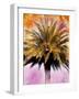 Hifi Palms IV-null-Framed Photographic Print