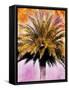 Hifi Palms IV-null-Framed Stretched Canvas